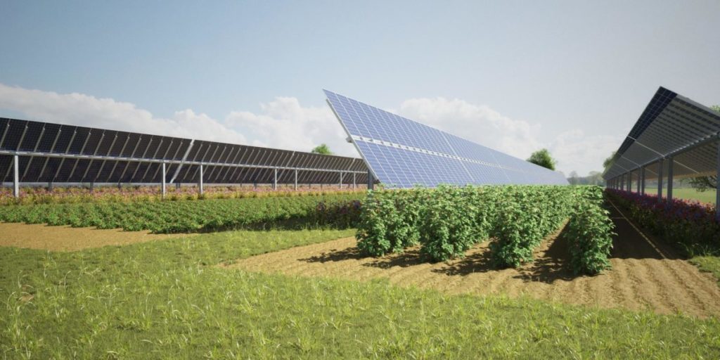 Commerz Real investiert in Agri-Photovoltaik in großem Stil